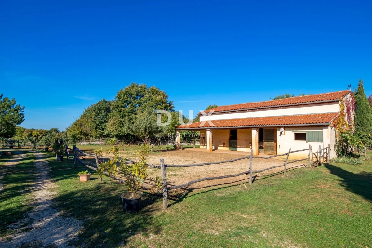 ISTRIA, SVETVINČENAT - Spaziosa tenuta istriana