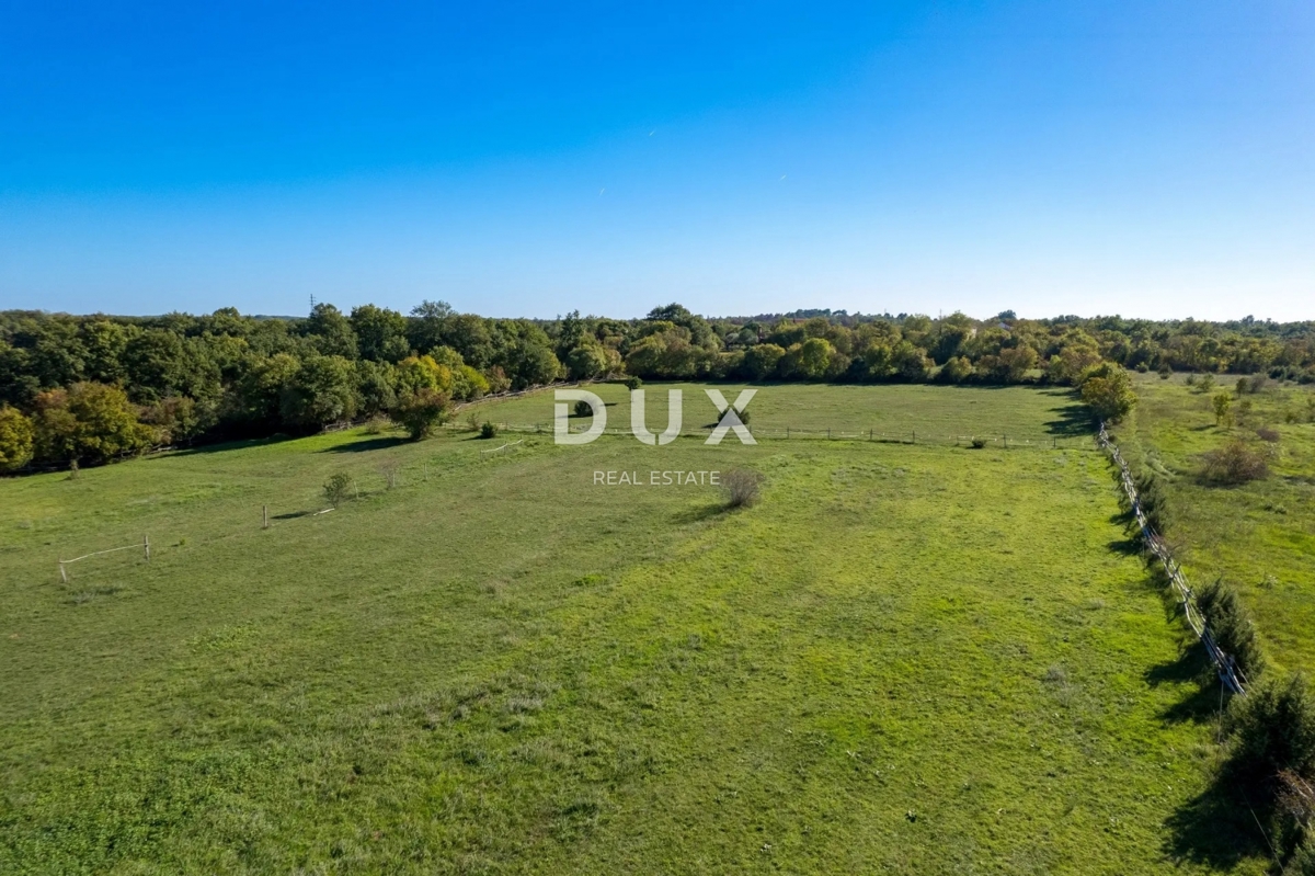 ISTRIA, SVETVINČENAT - Spaziosa tenuta istriana