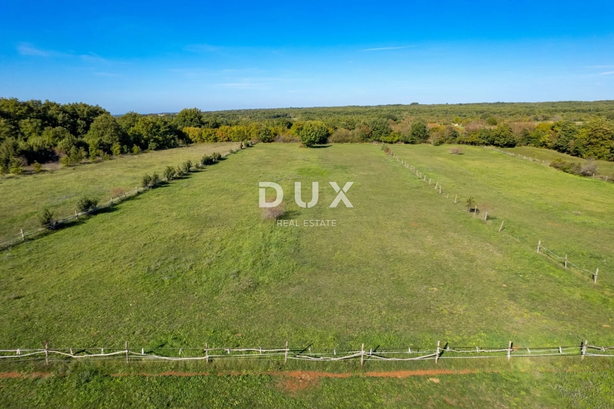 ISTRIA, SVETVINČENAT - Spaziosa tenuta istriana