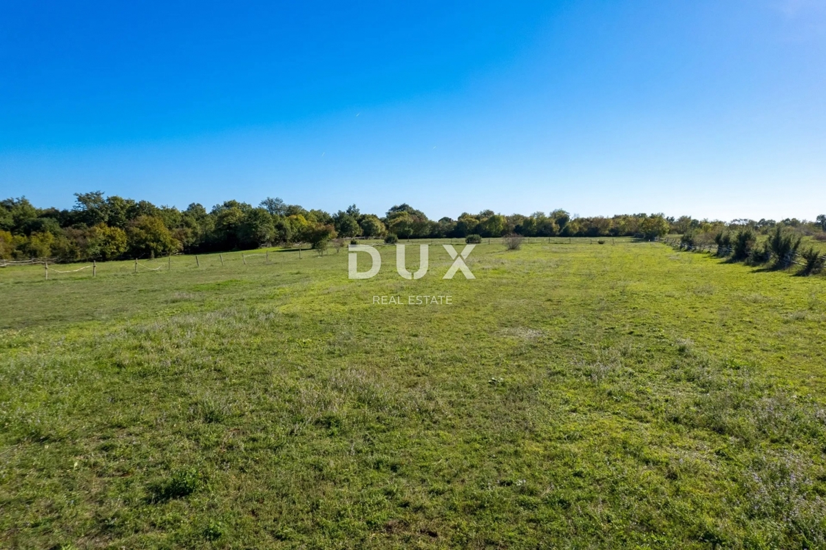 ISTRIA, SVETVINČENAT - Spaziosa tenuta istriana