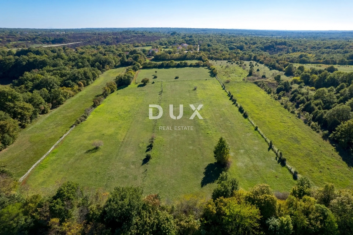 ISTRIA, SVETVINČENAT - Spaziosa tenuta istriana