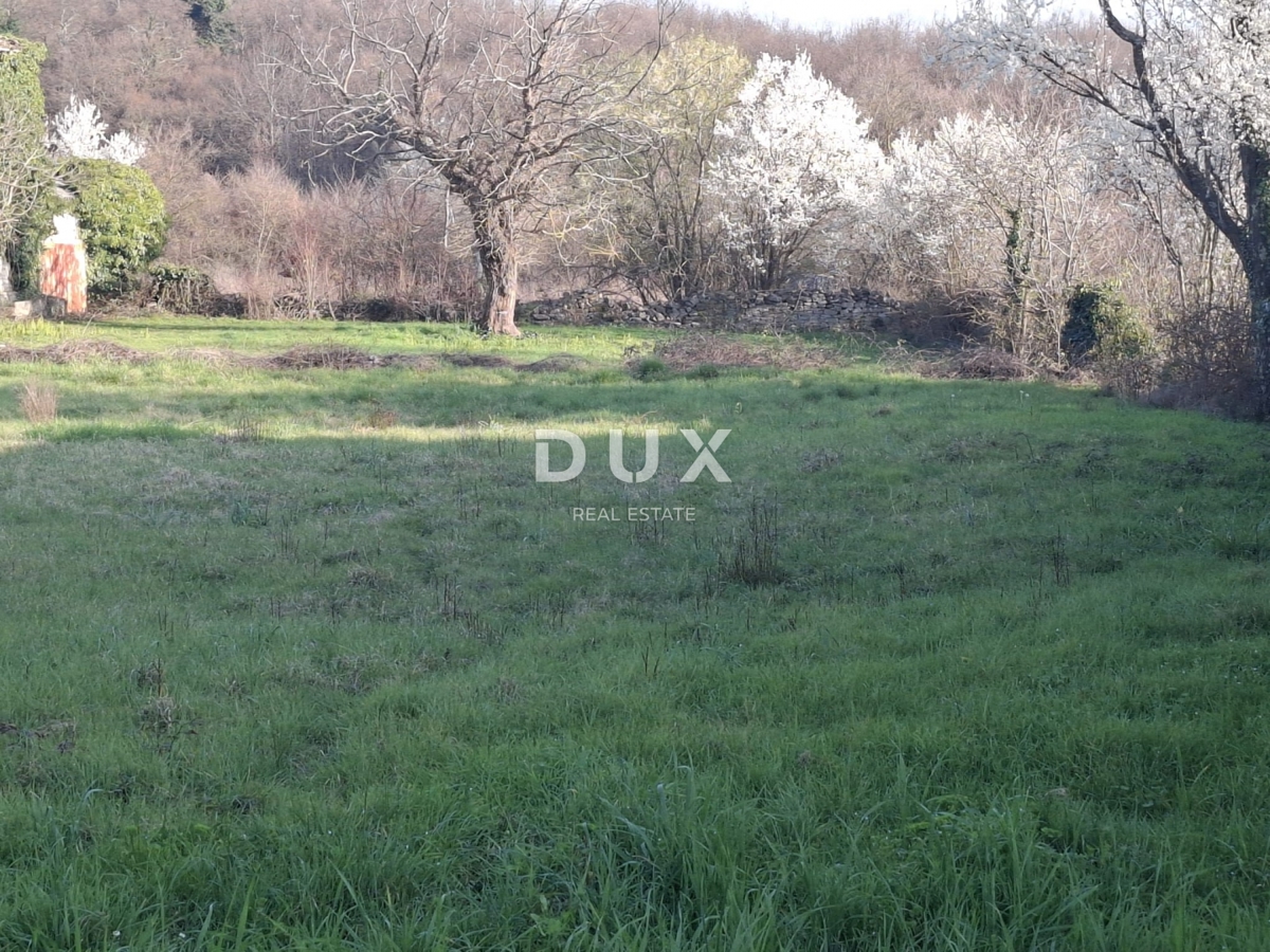 Casa Kanfanar, 230m2