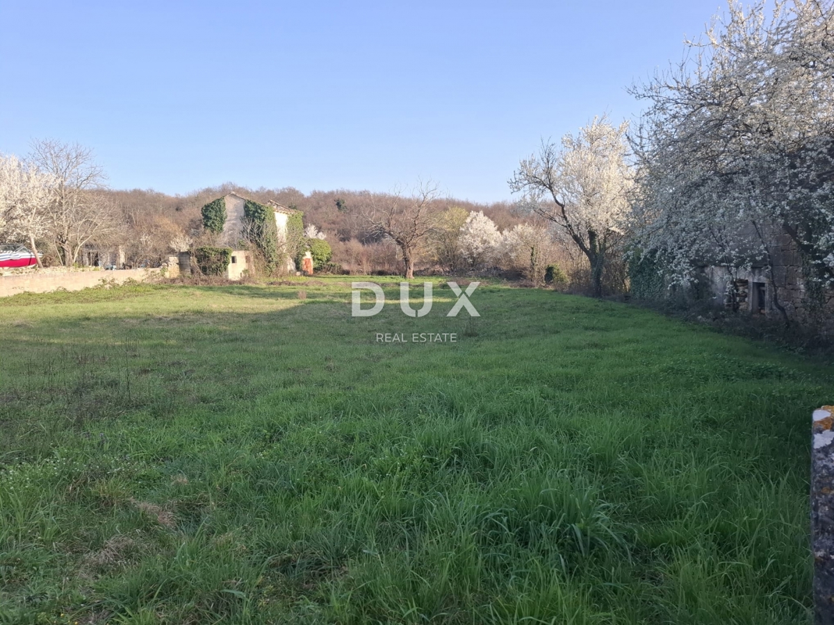 Casa Kanfanar, 230m2