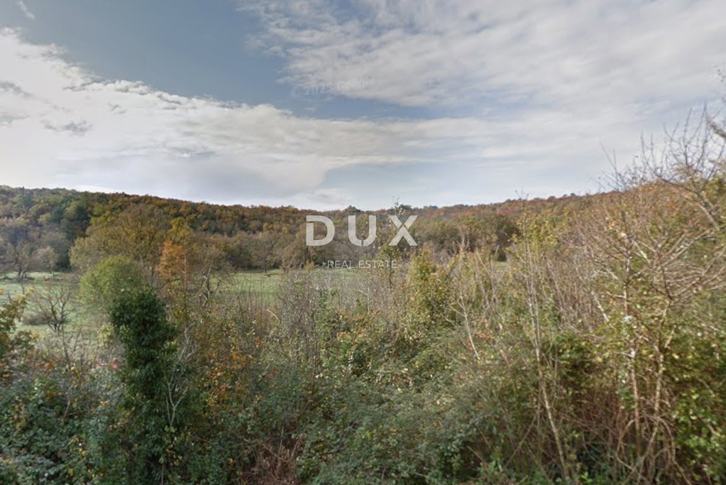 CRIKVENICA - URGENTE – RARO SUL MERCATO! - 800 m² di terreno con casa