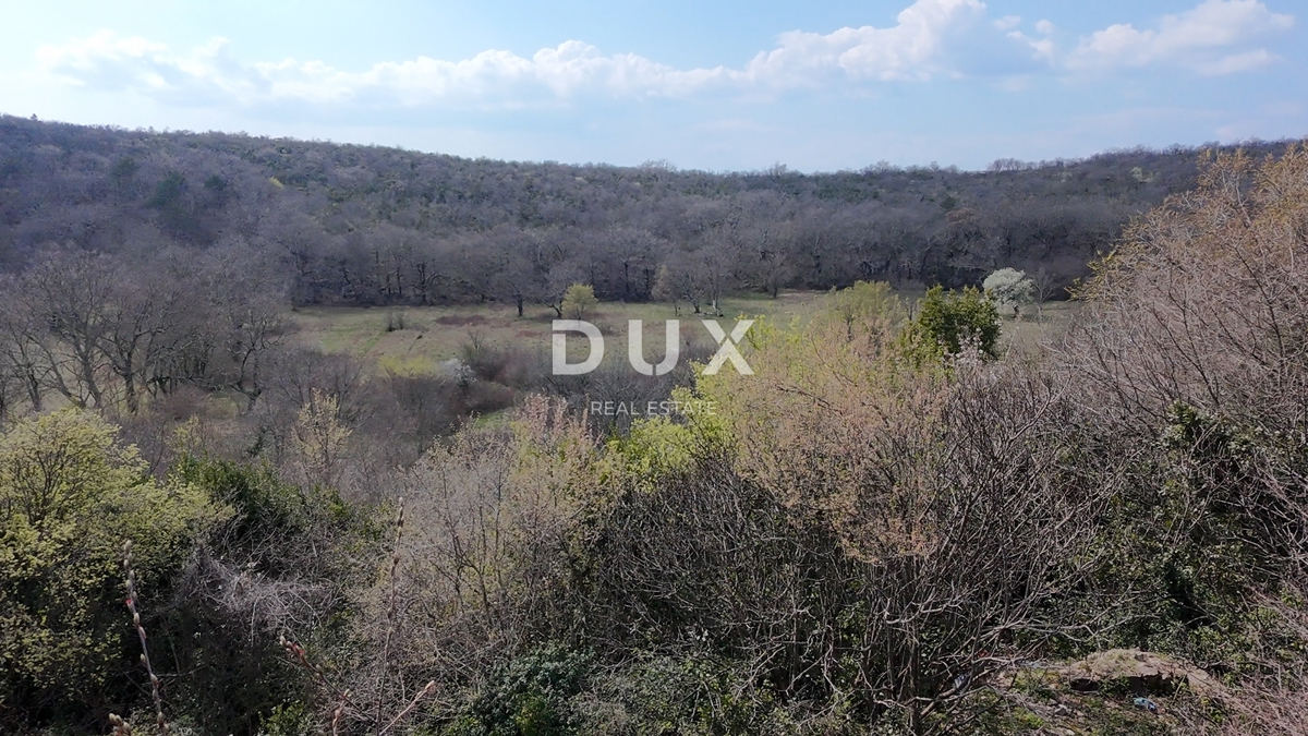 CRIKVENICA - URGENTE – RARO SUL MERCATO! - 800 m² di terreno con casa