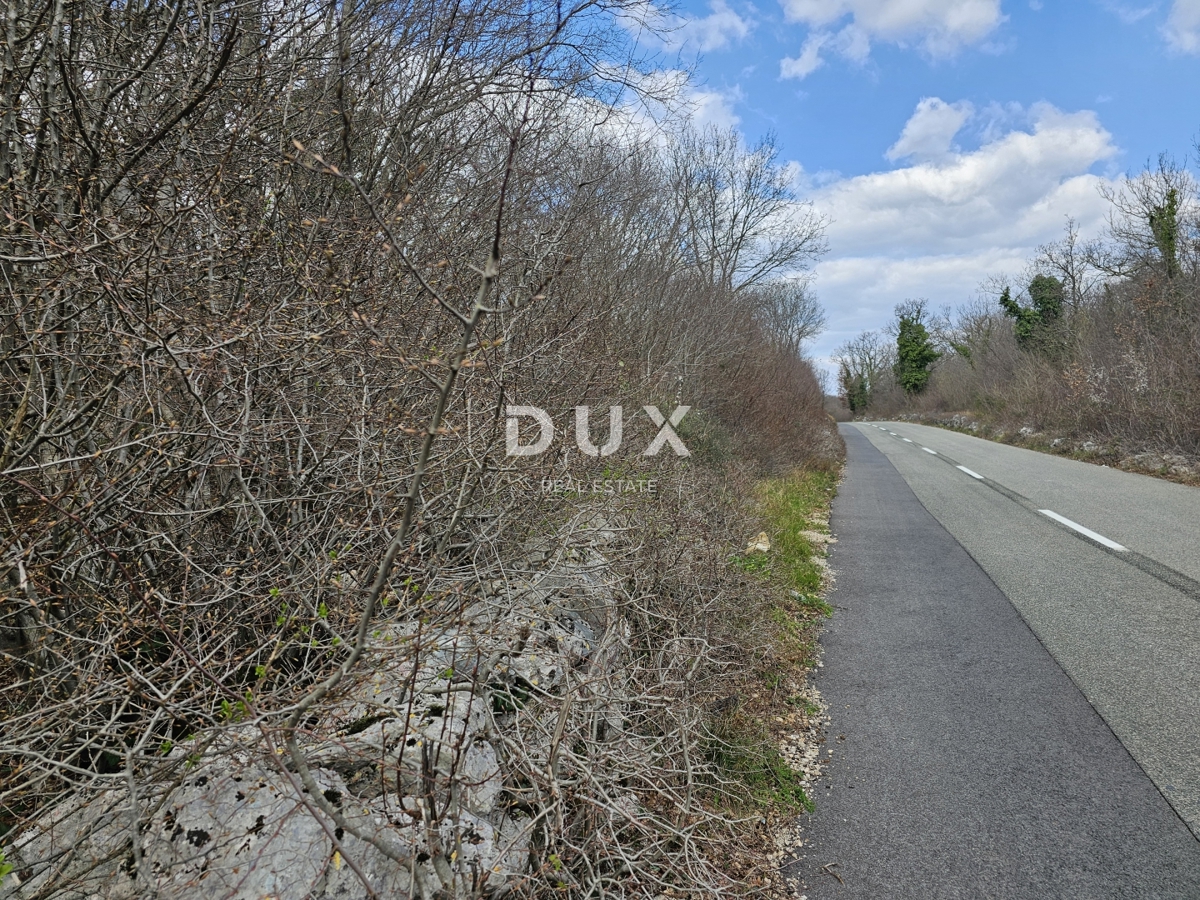 ISOLA DI KRK, GOSTINJAC - Foresta di 6201 m2, accesso da strada asfaltata