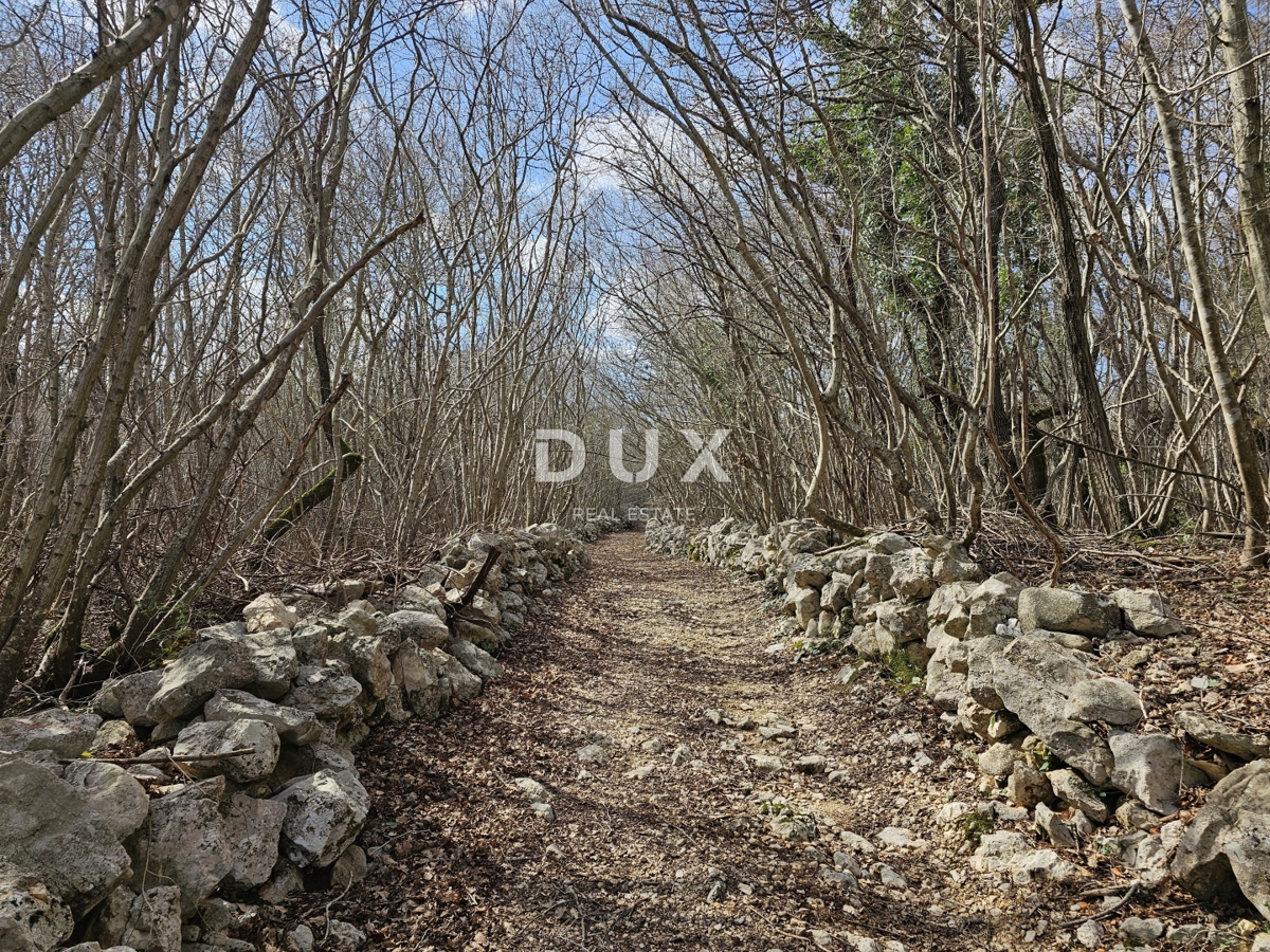 ISOLA DI KRK, GOSTINJAC - Foresta di 6201 m2, accesso da strada asfaltata