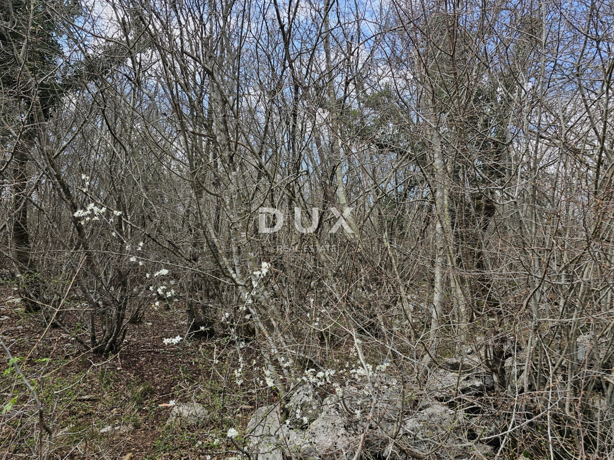 ISOLA DI KRK, GOSTINJAC - Foresta di 6201 m2, accesso da strada asfaltata