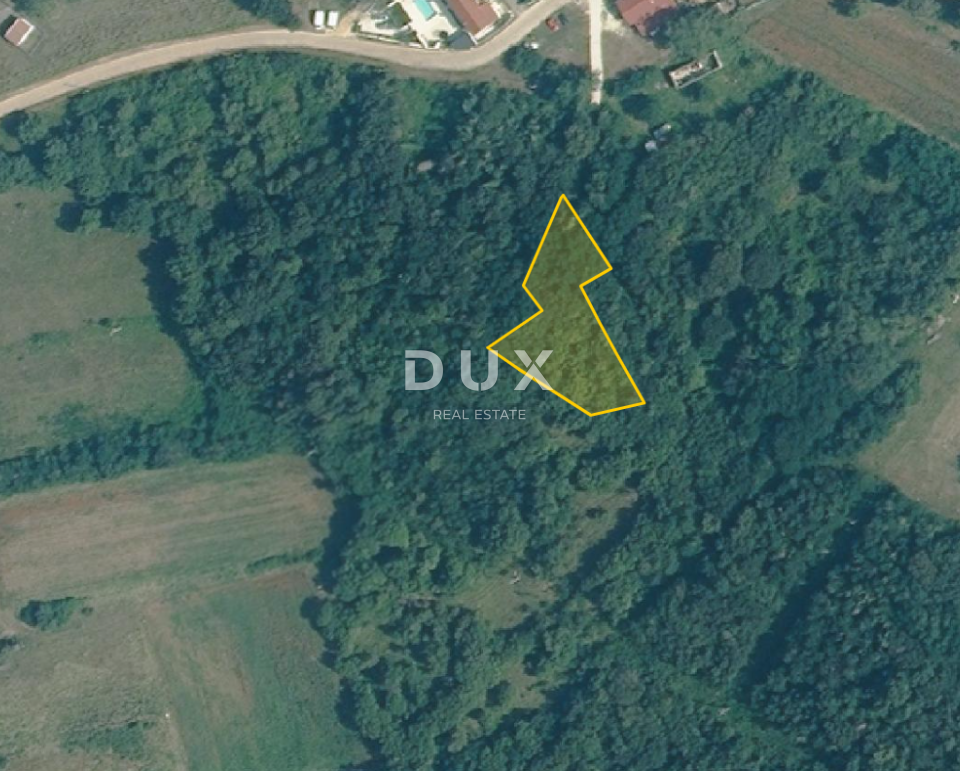 ISTRIA, TINJAN - Ampio terreno edificabile