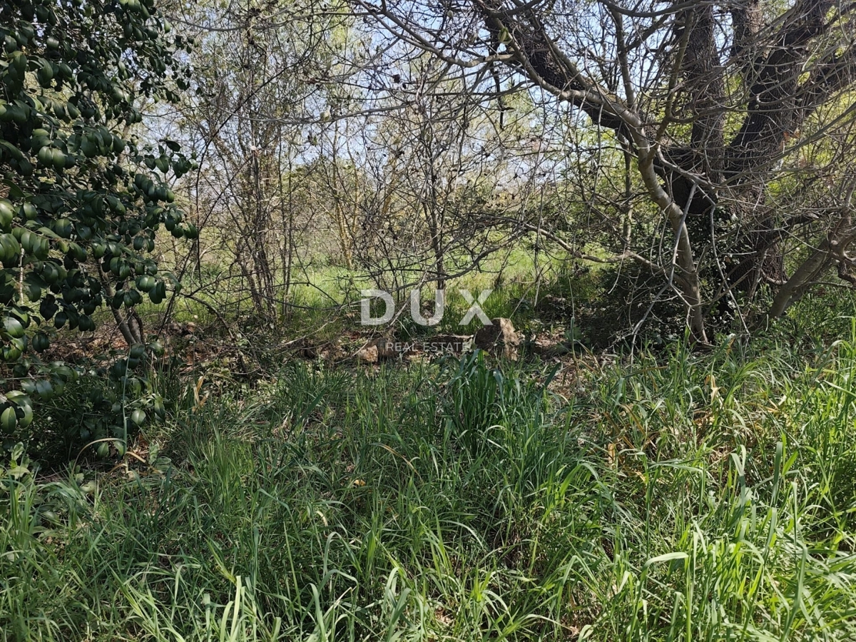 ISTRIA, BANJOLE - Terreno a destinazione commerciale adiacente a una strada trafficata