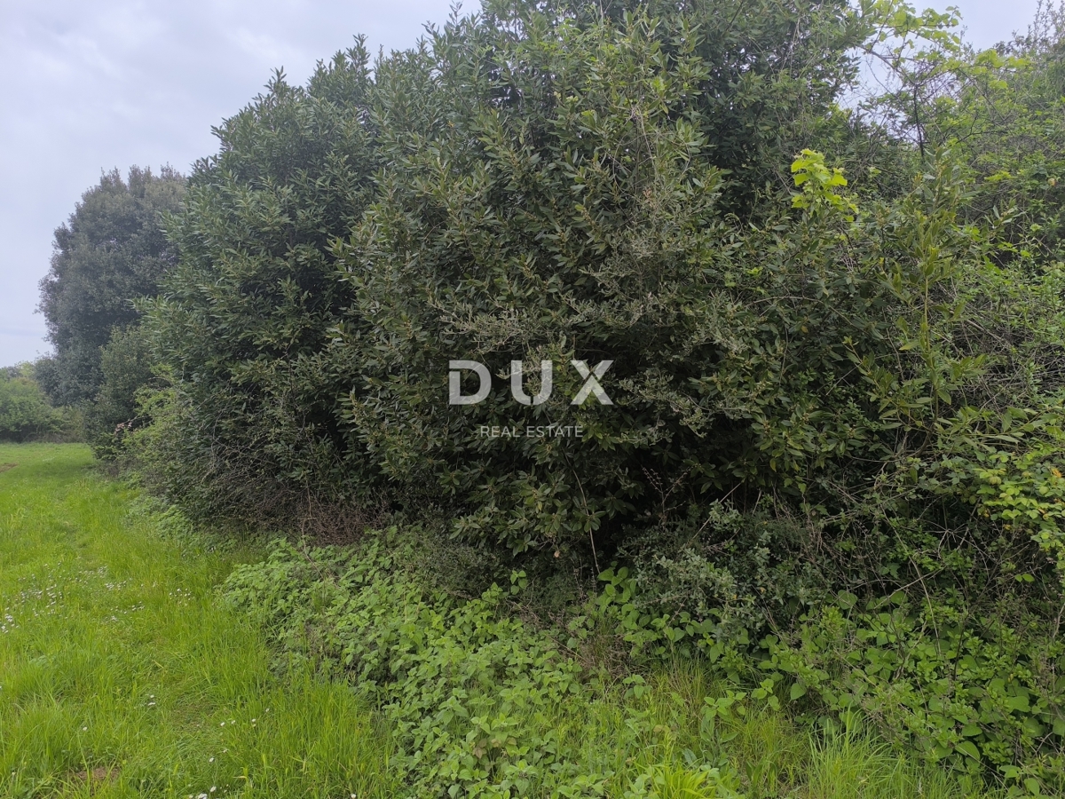 ISTRIA, PREMANTURA - Terreno agricolo, Capo Kamenjak, 150 m dal mare