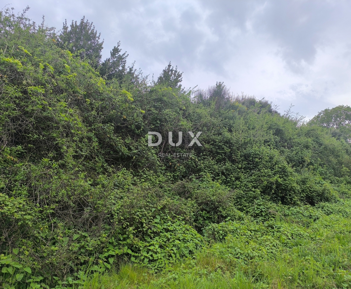 ISTRIA, PREMANTURA - Terreno agricolo, Capo Kamenjak, 150 m dal mare