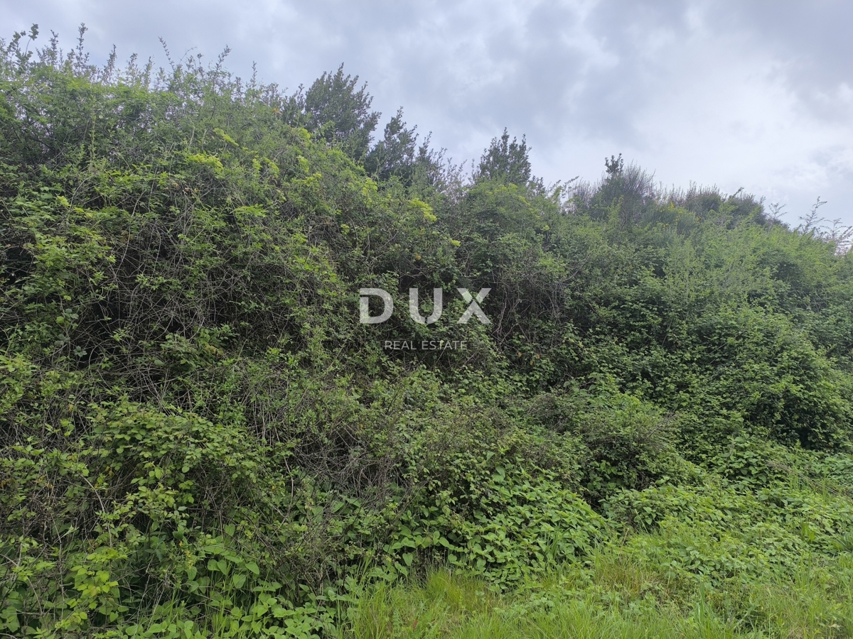 ISTRIA, PREMANTURA - Terreno agricolo, Capo Kamenjak, 150 m dal mare