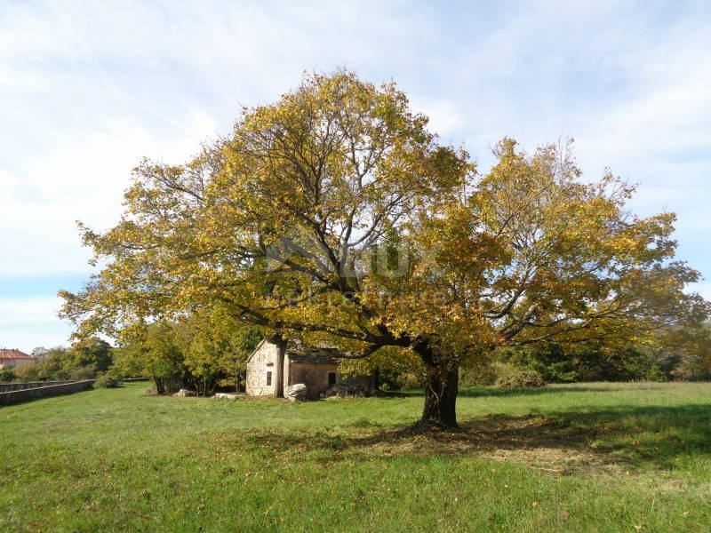 Terreno Žminj, 20,06m2