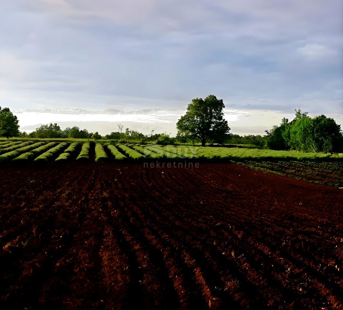 Terreno Grožnjan, 6.000m2