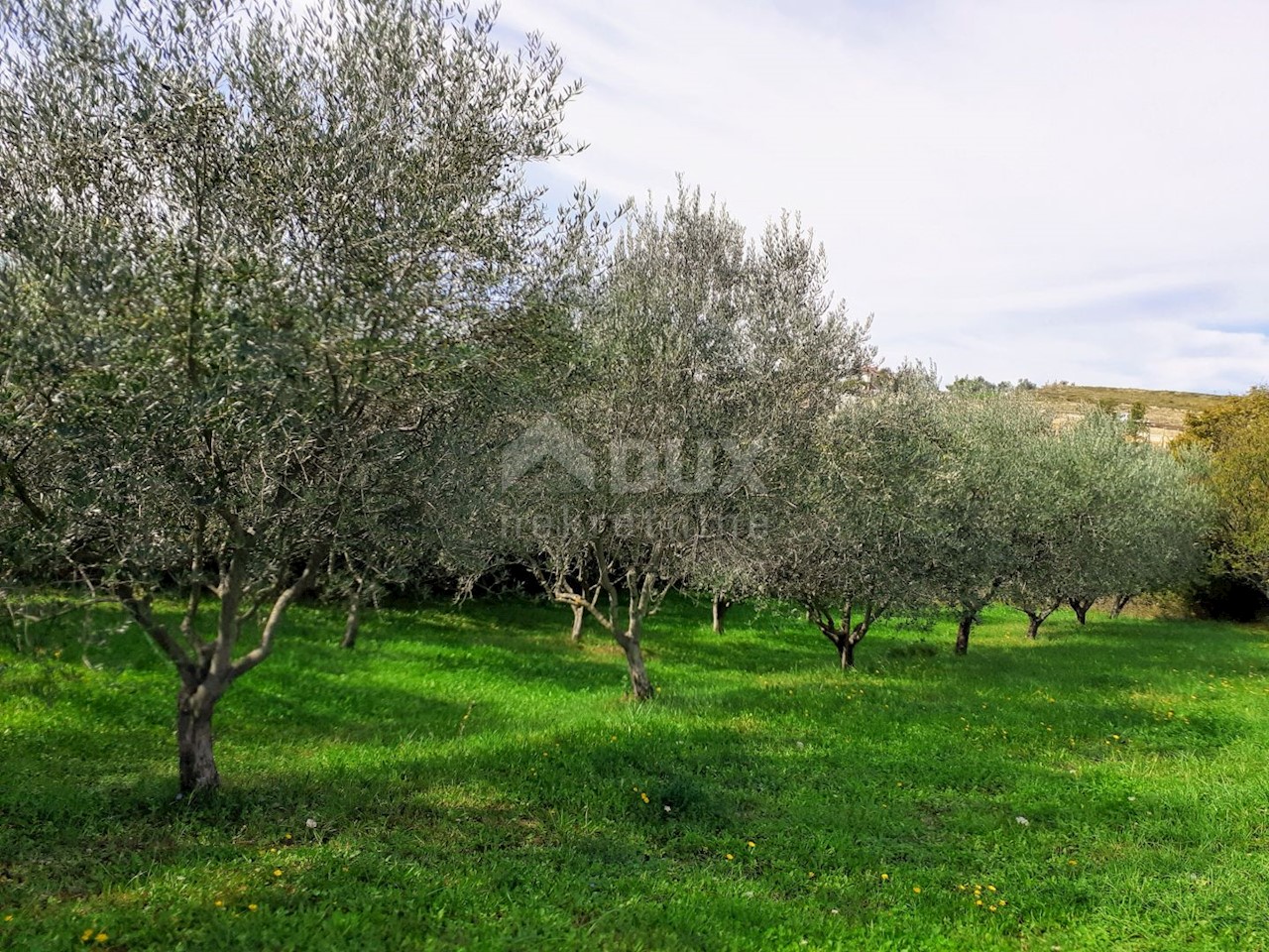 ISTRIA, VIŽINADA - Palazzina con 5 appartamenti, vista panoramica