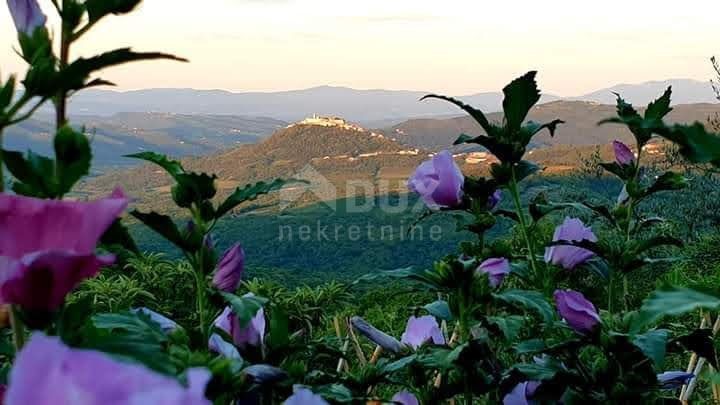 ISTRIA, VIŽINADA - Palazzina con 5 appartamenti, vista panoramica