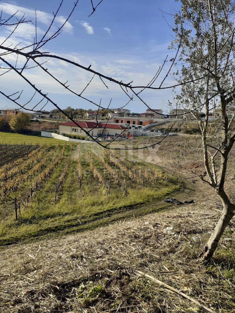 ISTRIA, VIŽINADA - Palazzina con 5 appartamenti, vista panoramica