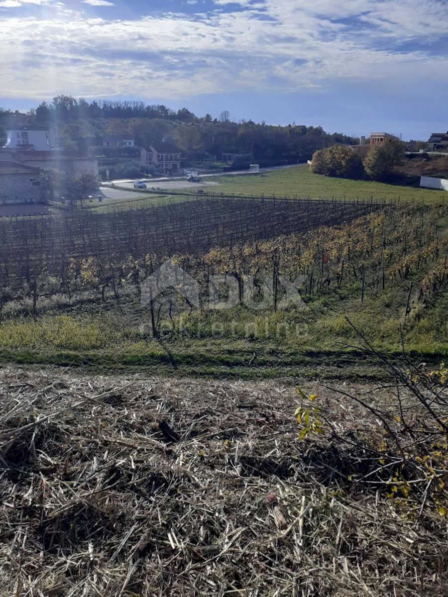 ISTRIA, VIŽINADA - Palazzina con 5 appartamenti, vista panoramica