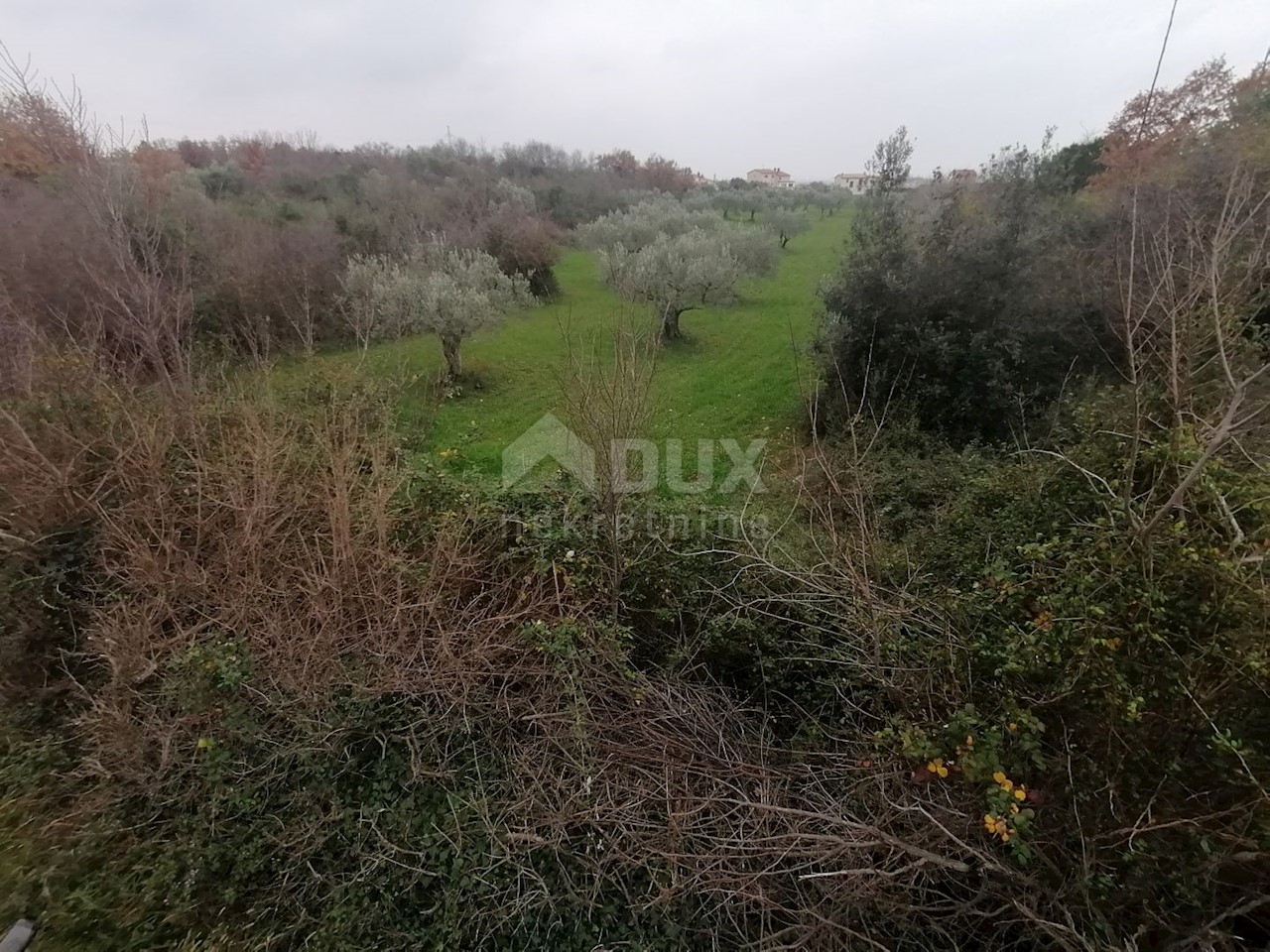 Terreno Galižana, Vodnjan, 7.194m2