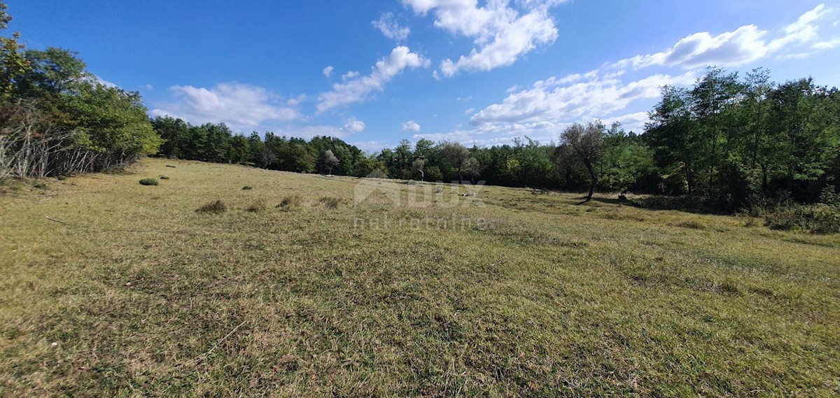 ISTRIA, GRONJAN - Ampio terreno edificabile in una zona appartata