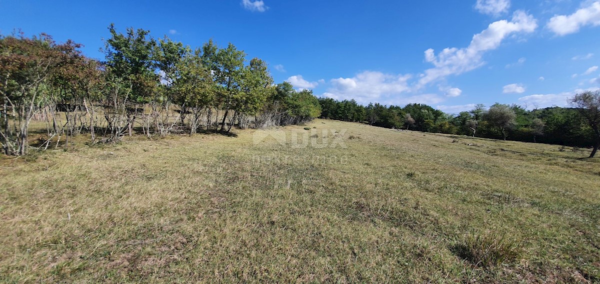 ISTRIA, GRONJAN - Ampio terreno edificabile in una zona appartata