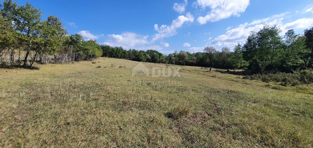 ISTRIA, GRONJAN - Ampio terreno edificabile in una zona appartata