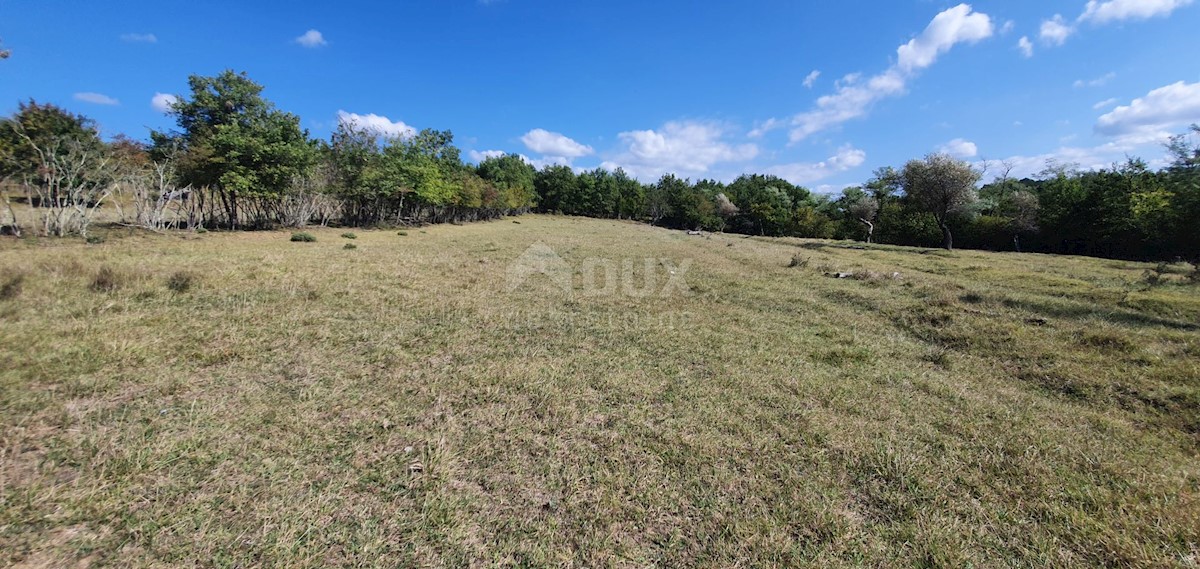 ISTRIA, GRONJAN - Ampio terreno edificabile in una zona appartata