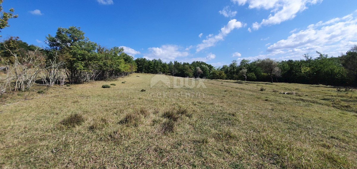 ISTRIA, GRONJAN - Ampio terreno edificabile in una zona appartata