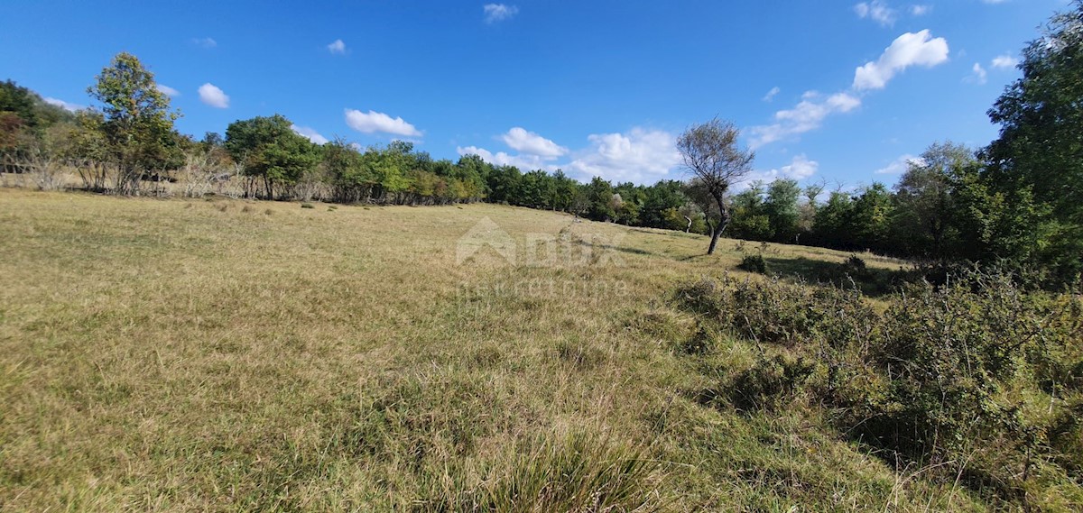 ISTRIA, GRONJAN - Ampio terreno edificabile in una zona appartata