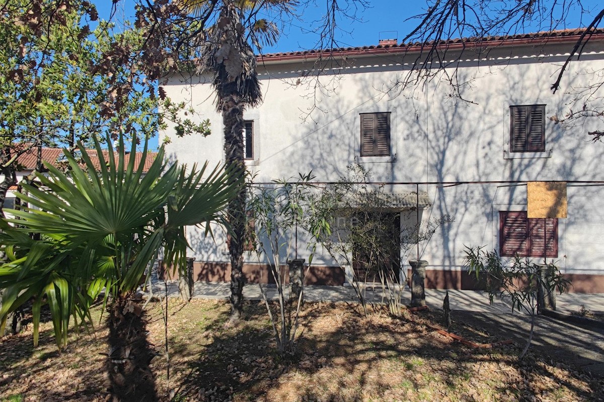 ISOLA DI KRK, MALINSKA - Antica casa in pietra con giardino