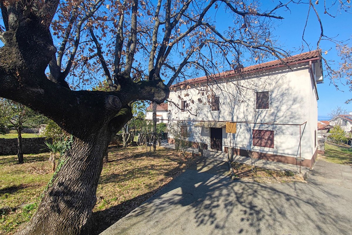 ISOLA DI KRK, MALINSKA - Antica casa in pietra con giardino