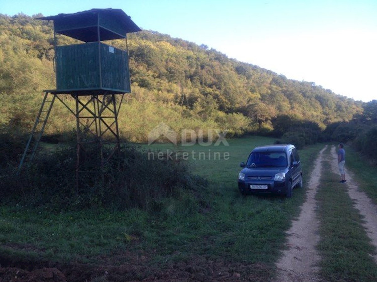 ISTRIA, CANALE DI LIM (DINTORNI) - Terreno vocato al turismo equestre