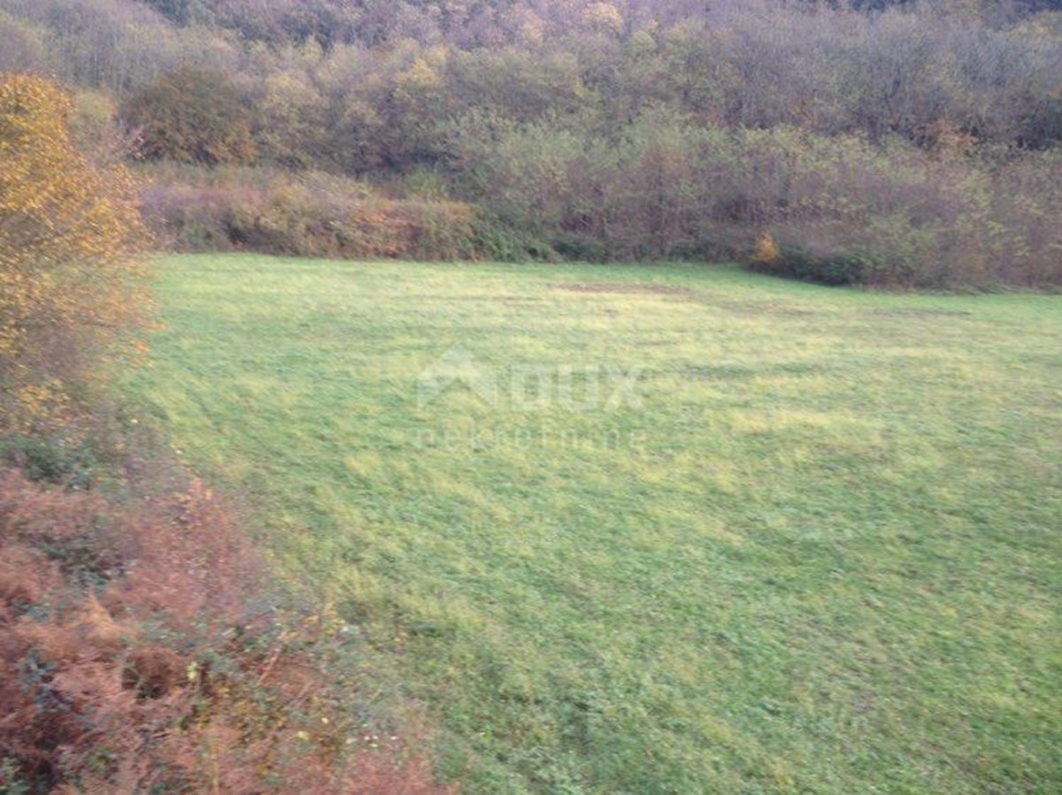 ISTRIA, CANALE DI LIM (DINTORNI) - Terreno vocato al turismo equestre