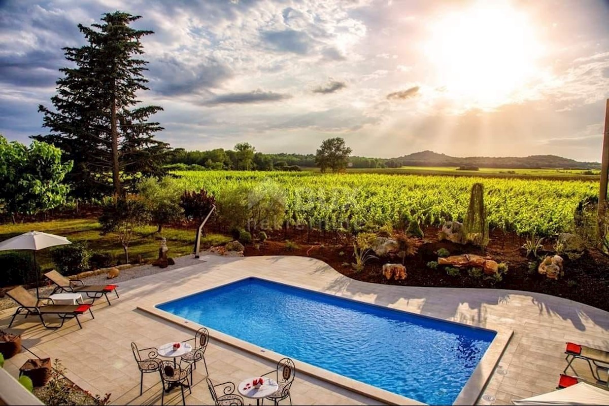 ISTRIA, POREČ - Casa in pietra con piscina e bellissimo vigneto