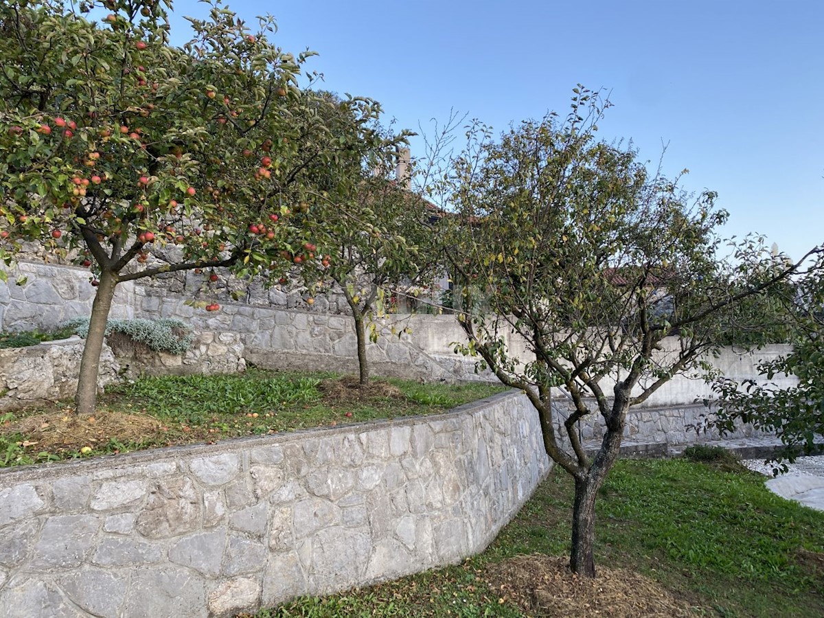 MATULJI, OKOLICA - Casa con piscina in affitto turistico