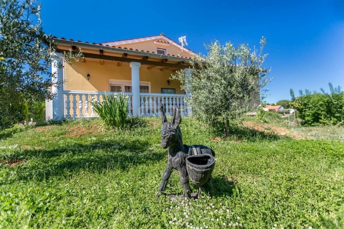 ISTRIA, LIŽNJAN - Piano terra con giardino paesaggistico