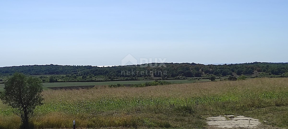 ISTRIA, BUJE - Terreno agricolo di 14.255 m2 con vista mare!