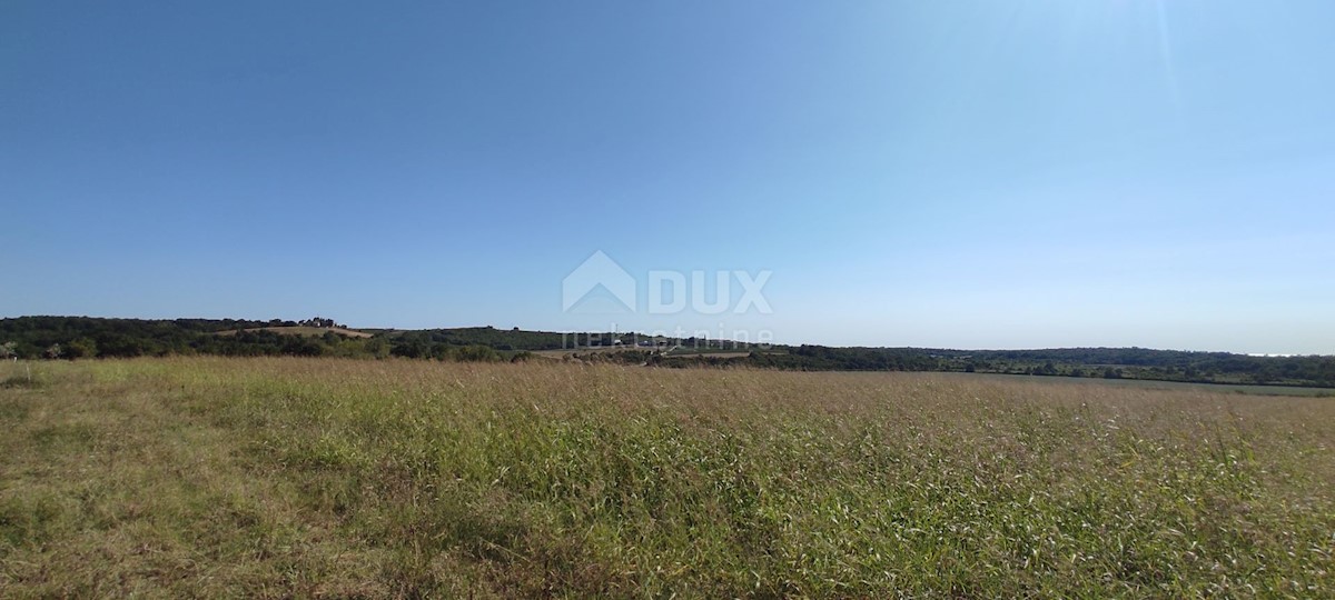 ISTRIA, BUJE - Terreno agricolo di 14.255 m2 con vista mare!