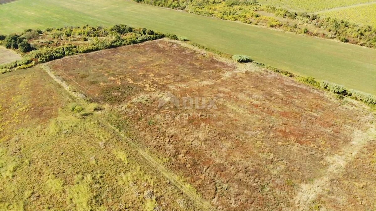 ISTRIA, BUJE - Terreno agricolo di 14.255 m2 con vista mare!