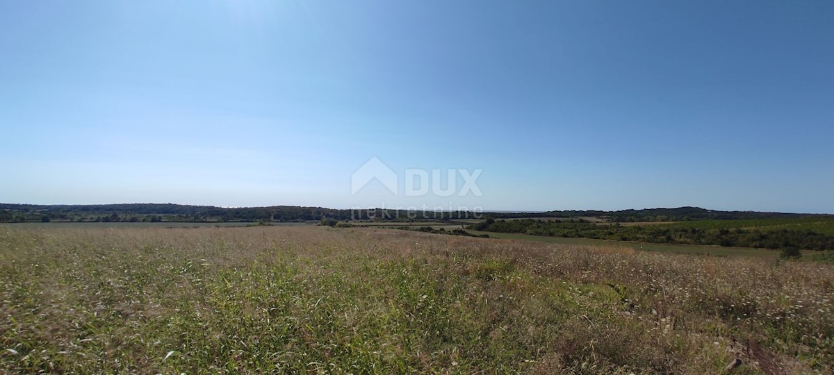 ISTRIA, BUJE - Terreno agricolo di 14.255 m2 con vista mare!