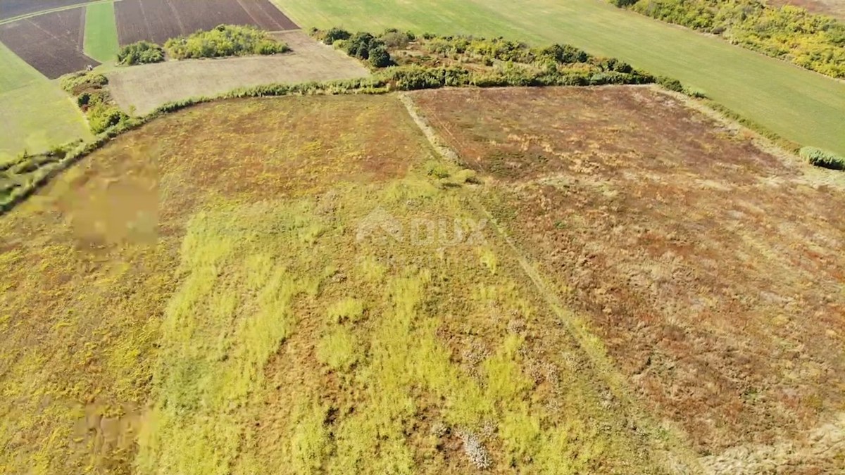 ISTRIA, BUJE - Terreno agricolo di 14.255 m2 con vista mare!