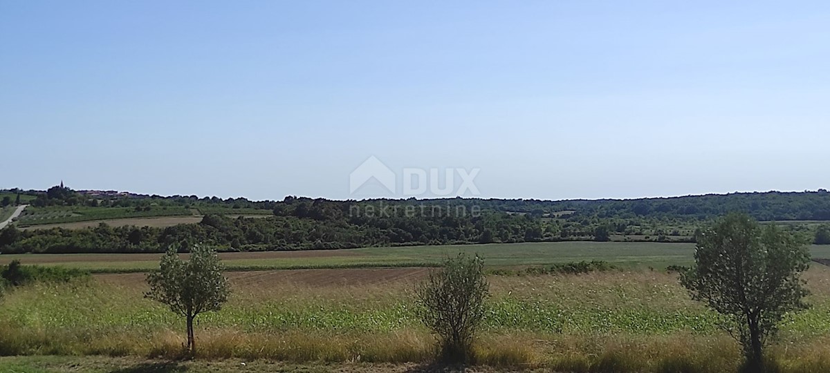 ISTRIA, BUJE - Terreno agricolo di 14.255 m2 con vista mare!