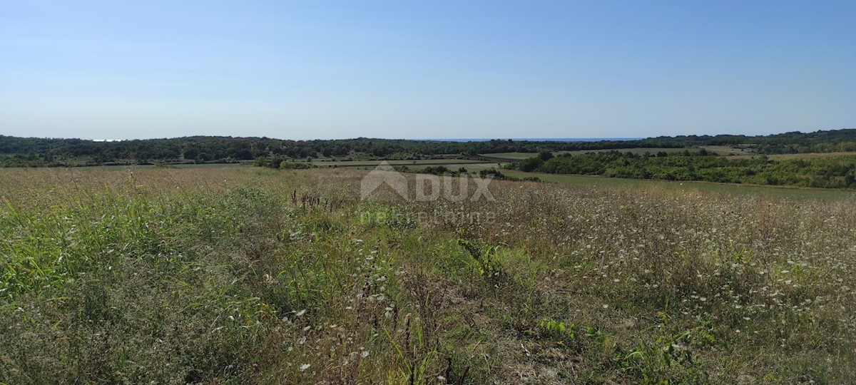 ISTRIA, BUJE - Terreno agricolo di 14.255 m2 con vista mare!