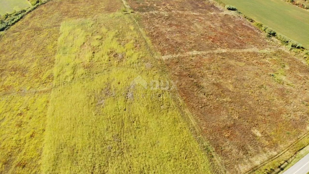 ISTRIA, BUJE - Terreno agricolo di 14.255 m2 con vista mare!