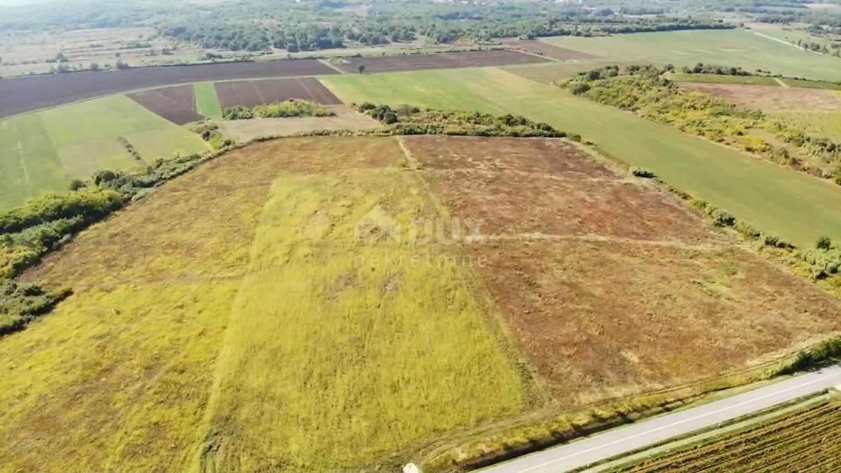 ISTRIA, BUJE - Terreno agricolo di 14.255 m2 con vista mare!