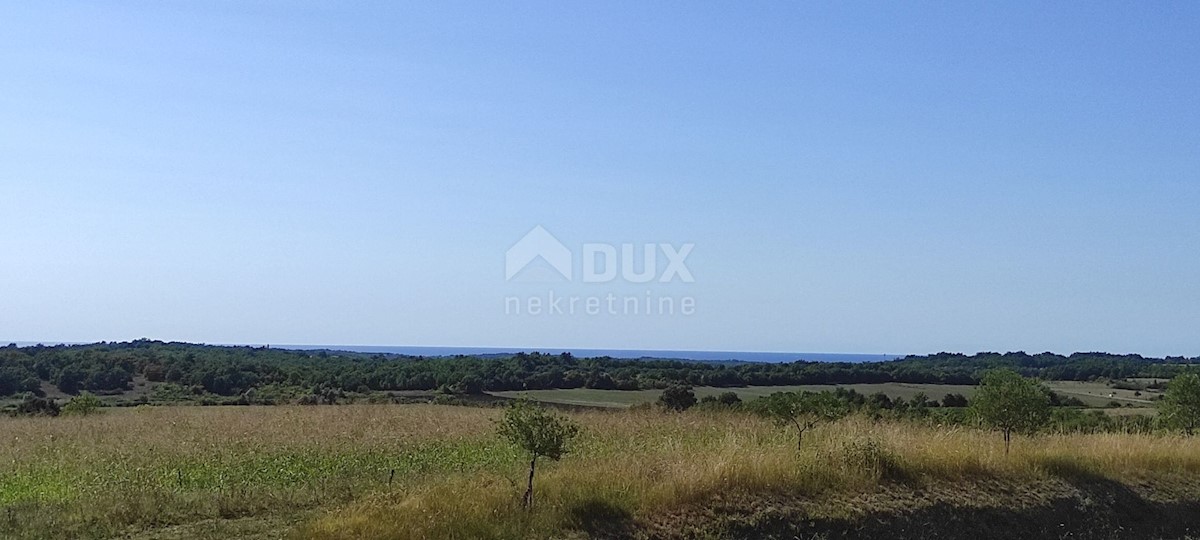 ISTRIA, BUJE - Terreno agricolo di 14.255 m2 con vista mare!