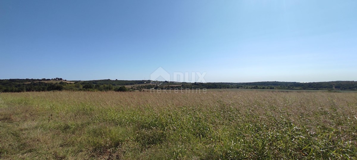 ISTRIA, BUJE - Terreno agricolo di 14.255 m2 con vista mare!