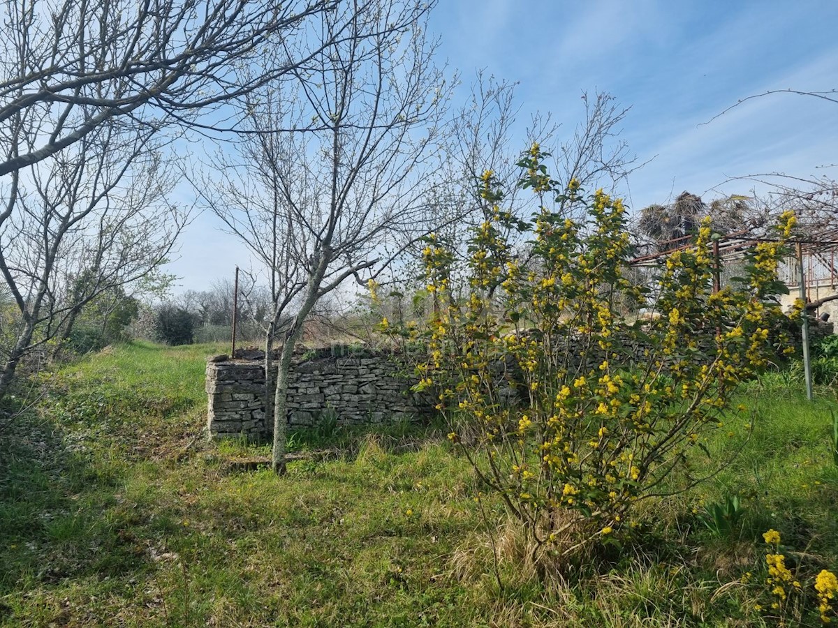 Casa Jakovici, Tinjan, 120m2