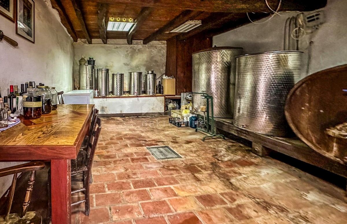 Casa Duričići, Buzet, 400m2